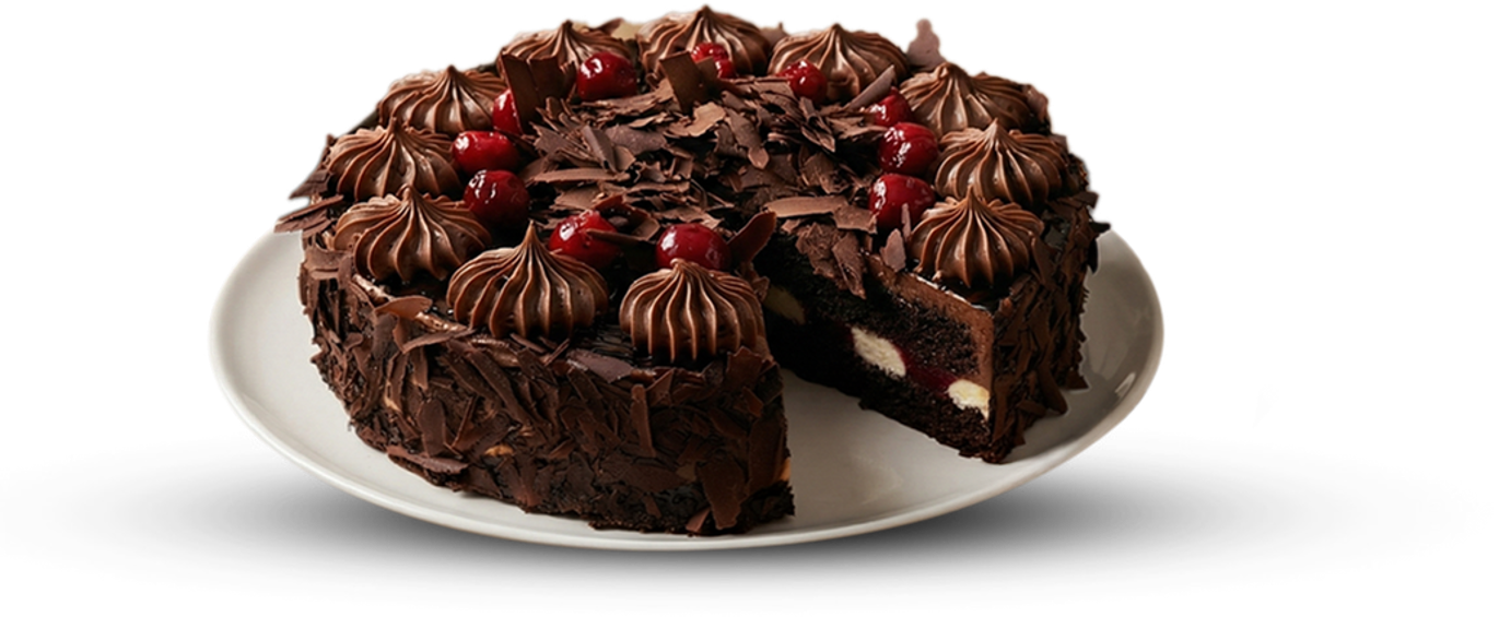 Sour Cherry Chocolate Cake Slice